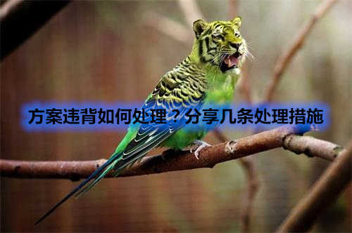 方案違背如何處理？分享幾條處理措施